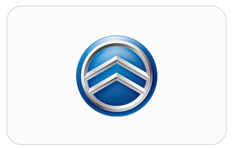 Car Brand 10